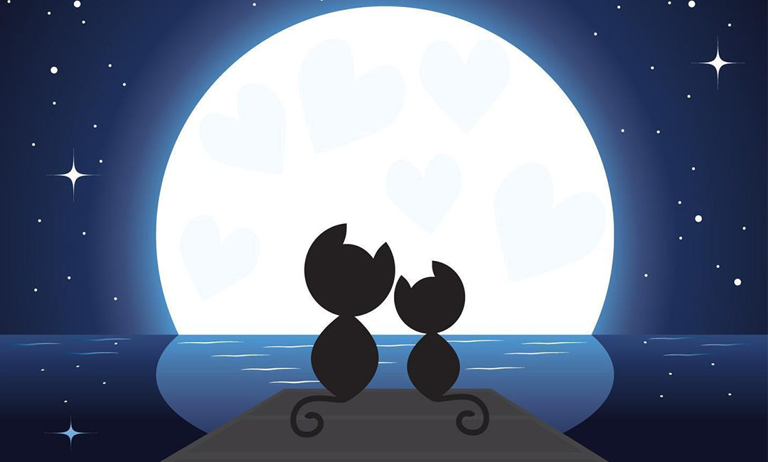 儋州潮客汇微信活动策划案例